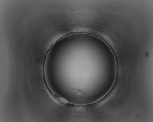 X0000093471041200710191141