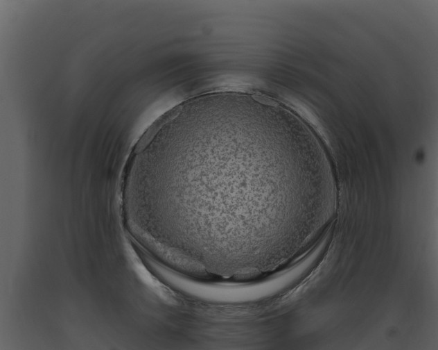 X0000093471042200710191141