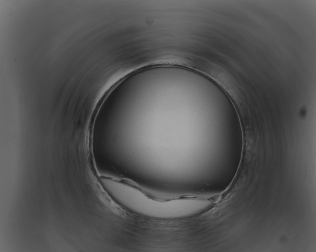 X0000093471044200710191141