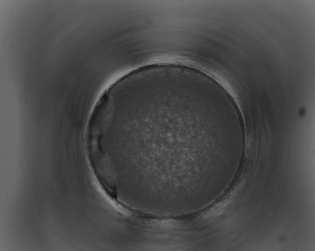 X0000093471045200710191141