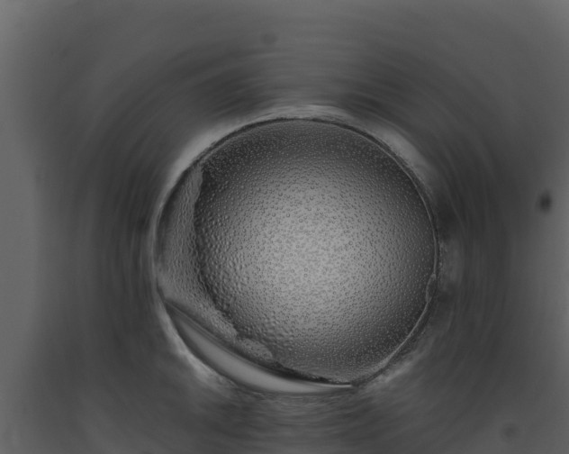 X0000093471046200710191141