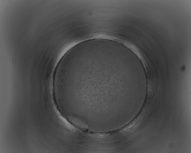 X0000093471048200710191141