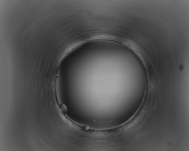 X0000093471049200710191141