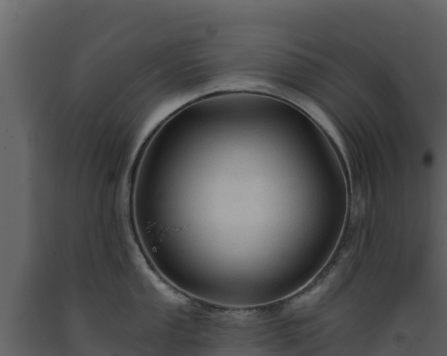 X0000093471053200710191141