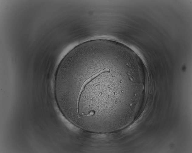 X0000093471054200710191141