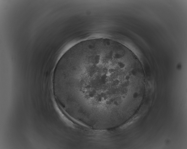 X0000093471055200710191141