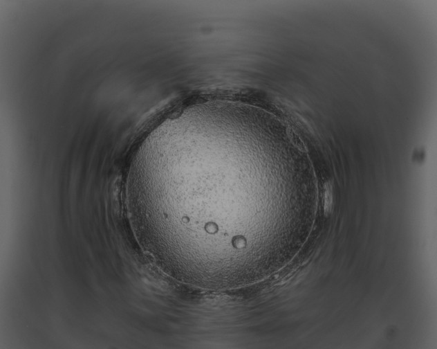 X0000093471059200710191140