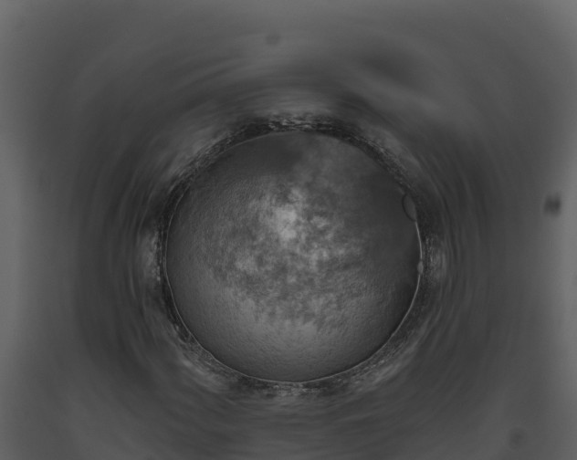 X0000093471060200710191140