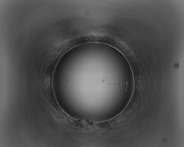 X0000093471061200710191140