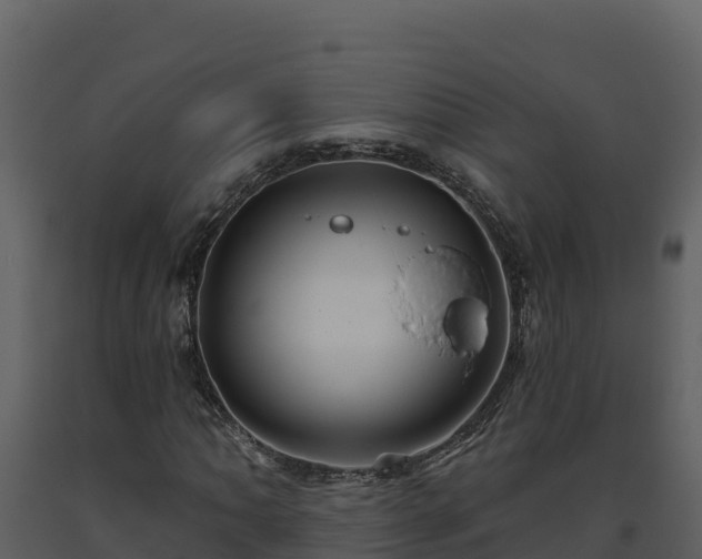 X0000093471062200710191140