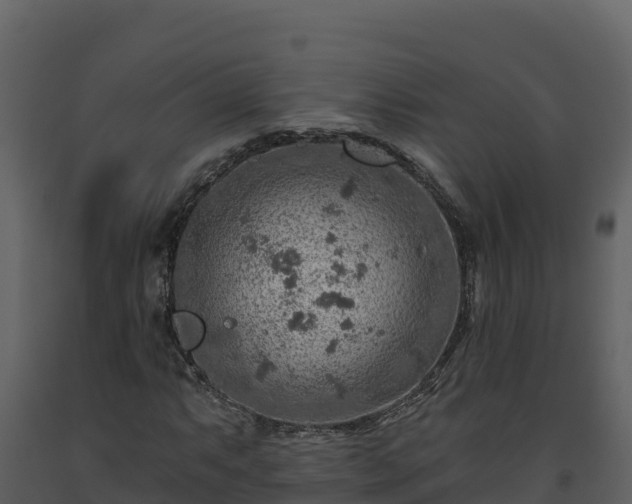 X0000093471063200710191140