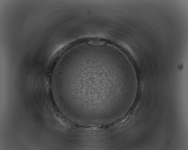 X0000093471064200710191140