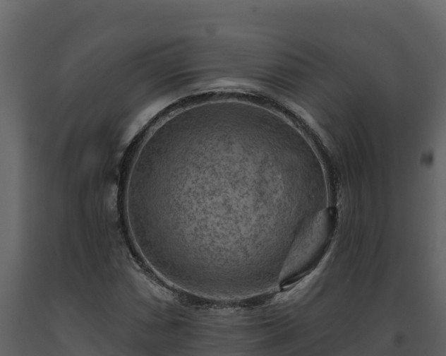 X0000093471066200710191140