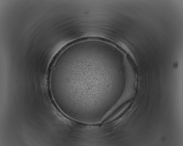 X0000093471068200710191140