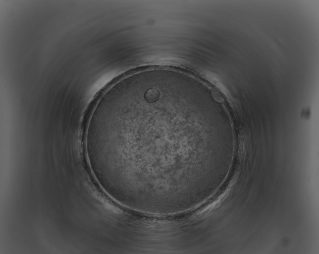 X0000093471071200710191140