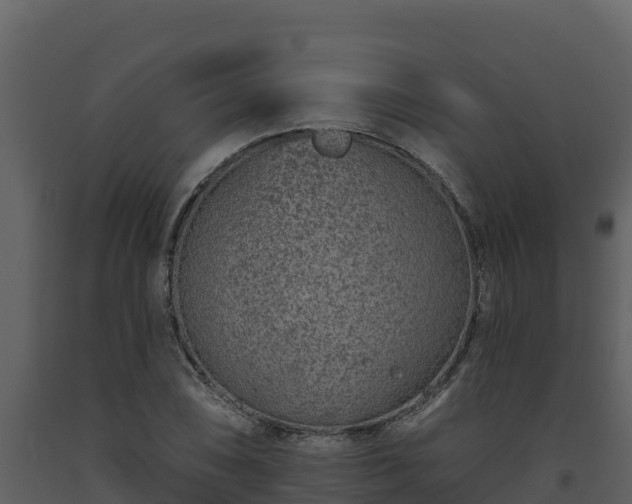 X0000093471074200710191140