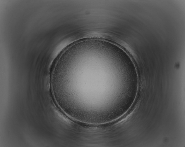 X0000093471075200710191140