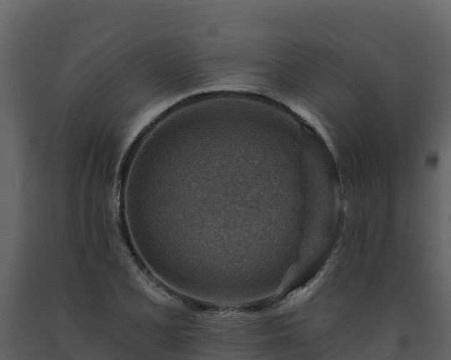 X0000093471077200710191140