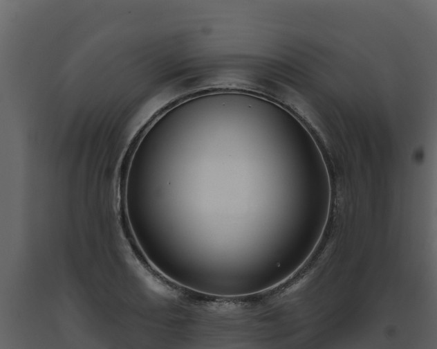 X0000093471082200710191140