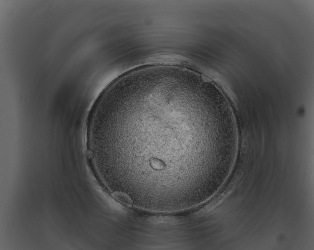 X0000093471083200710191140