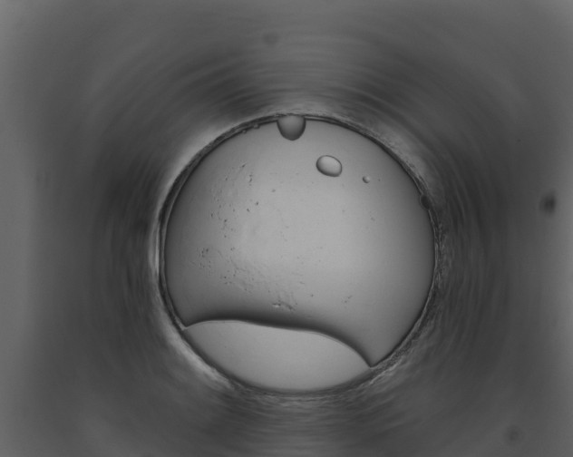 X0000093471084200710191140