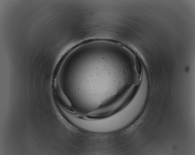 X0000093471085200710191140