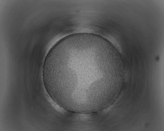 X0000093471086200710191140