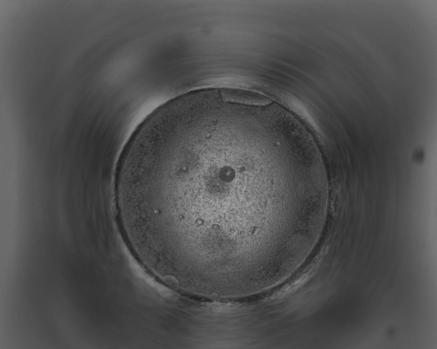 X0000093471087200710191140