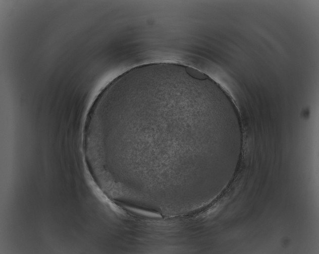 X0000093471088200710191140