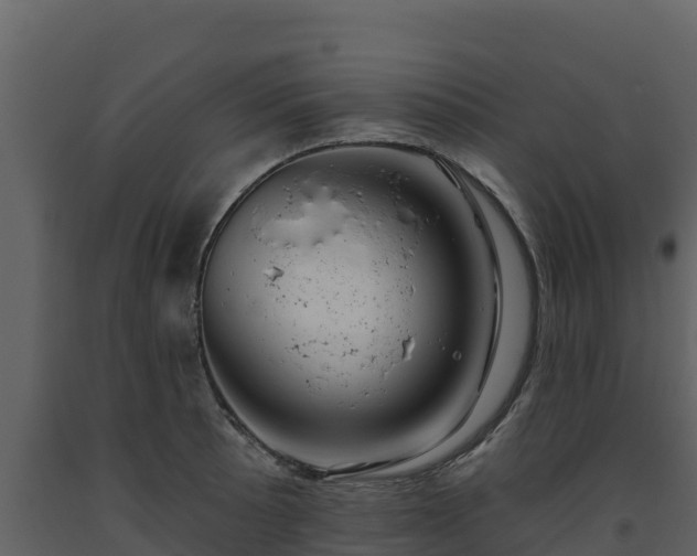 X0000093471089200710191140