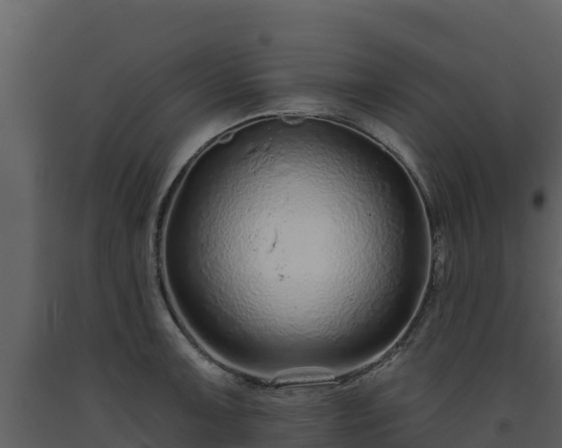 X0000093471091200710191140