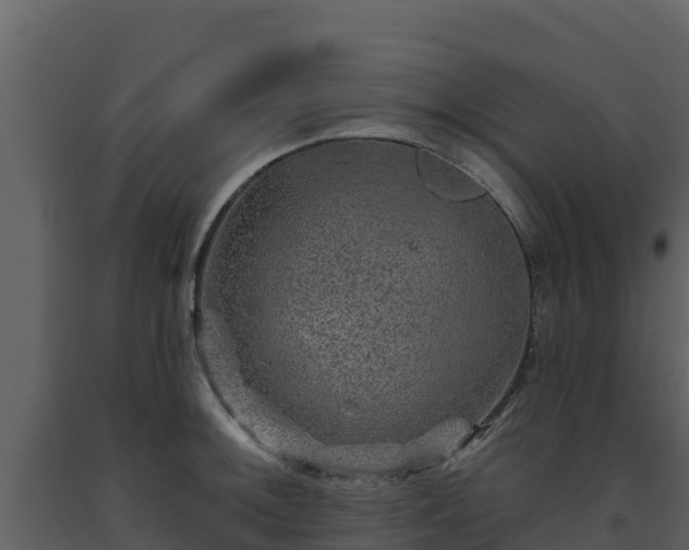 X0000093471092200710191140