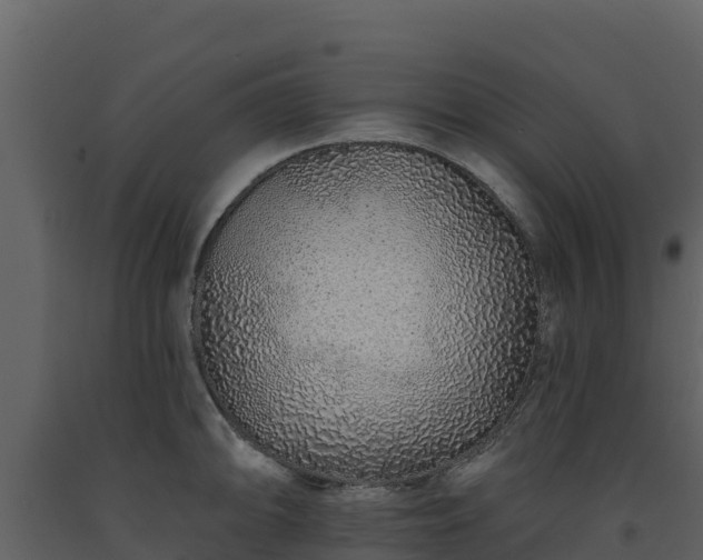 X0000093471094200710191140