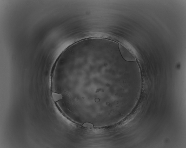 X0000093471095200710191140