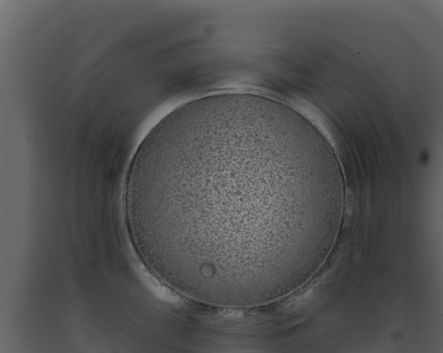 X0000093471098200710191140