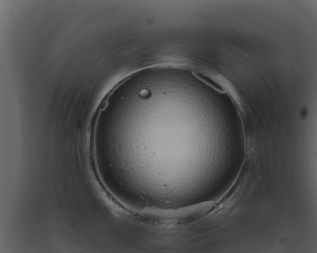 X0000093471099200710191140