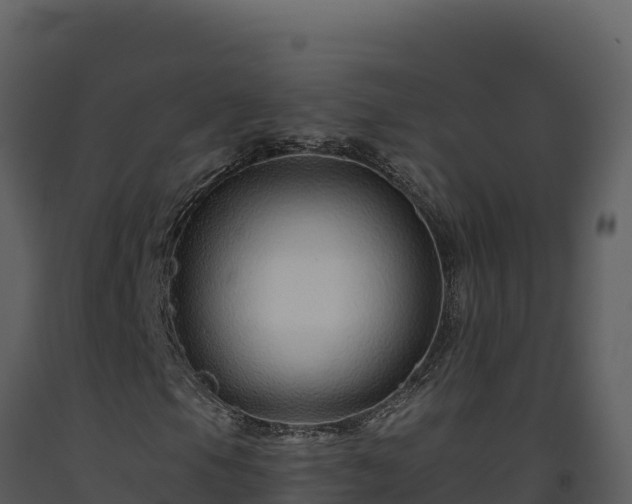 X0000093471105200710191139