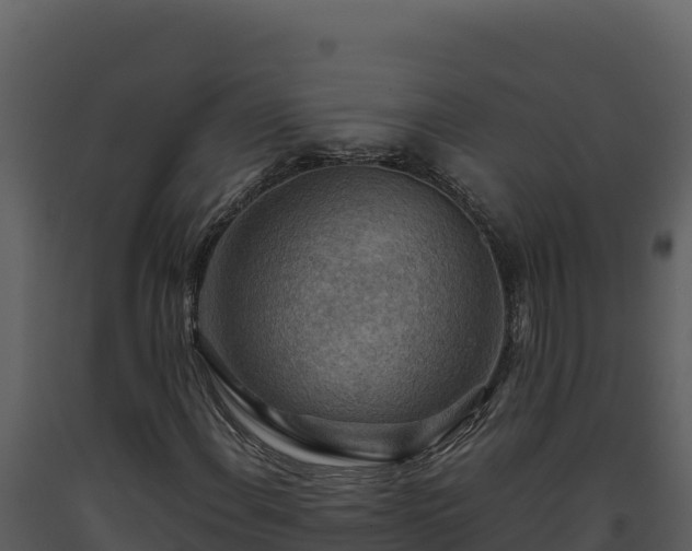 X0000093471108200710191139