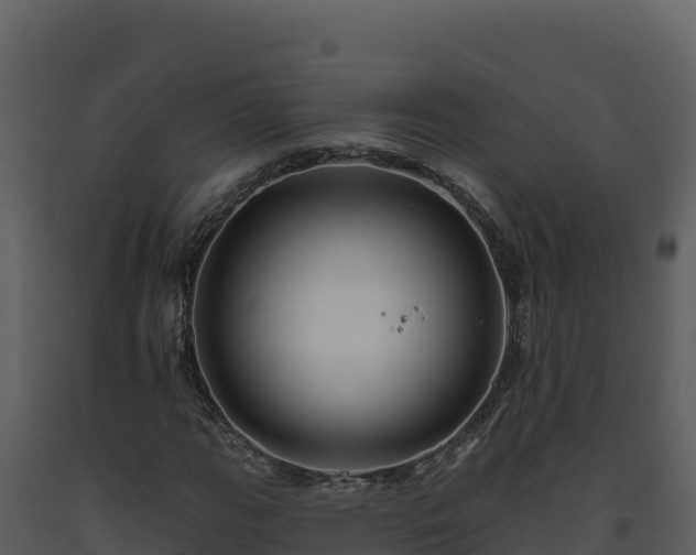 X0000093471111200710191139