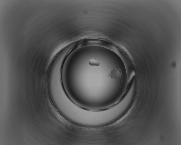 X0000093471114200710191139