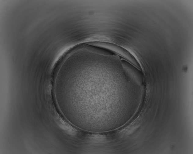 X0000093471115200710191139