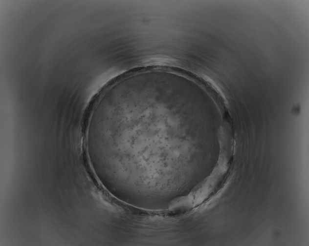 X0000093471117200710191139