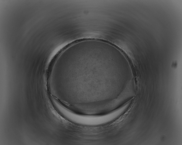 X0000093471120200710191139