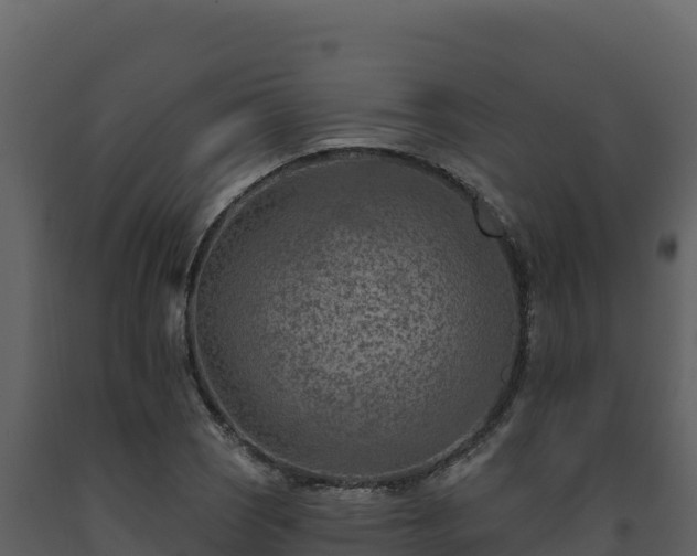 X0000093471121200710191139