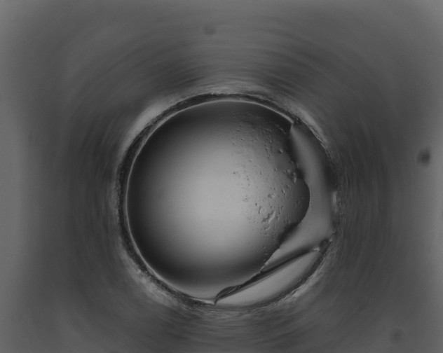 X0000093471122200710191139