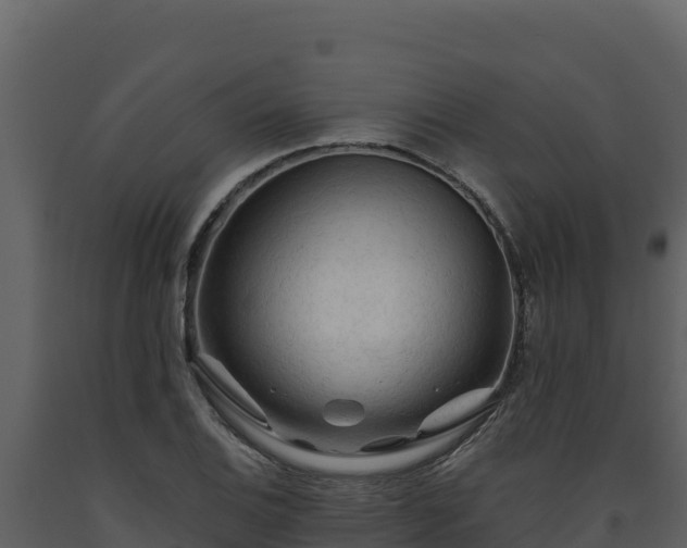 X0000093471124200710191139