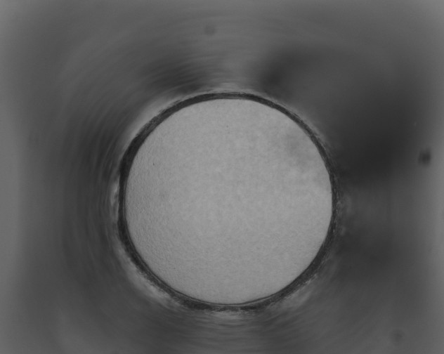 X0000093471126200710191139