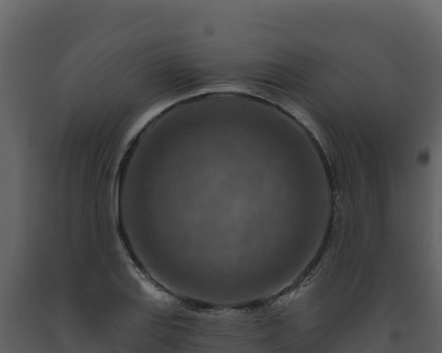 X0000093471127200710191139