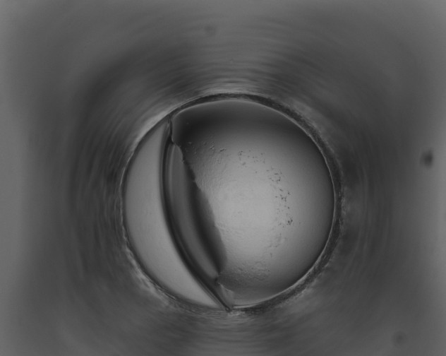 X0000093471129200710191139