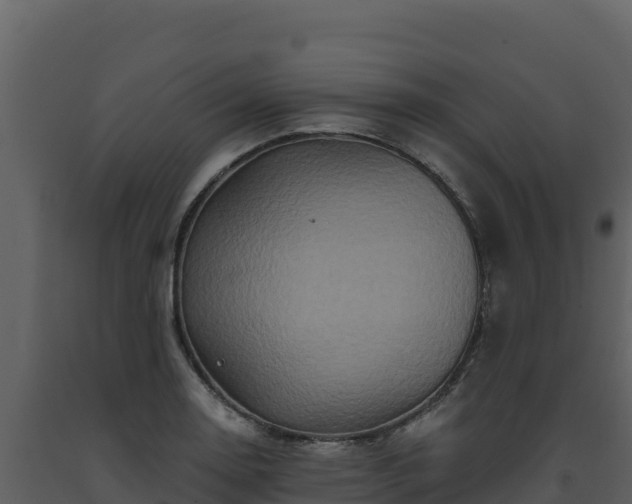 X0000093471130200710191139